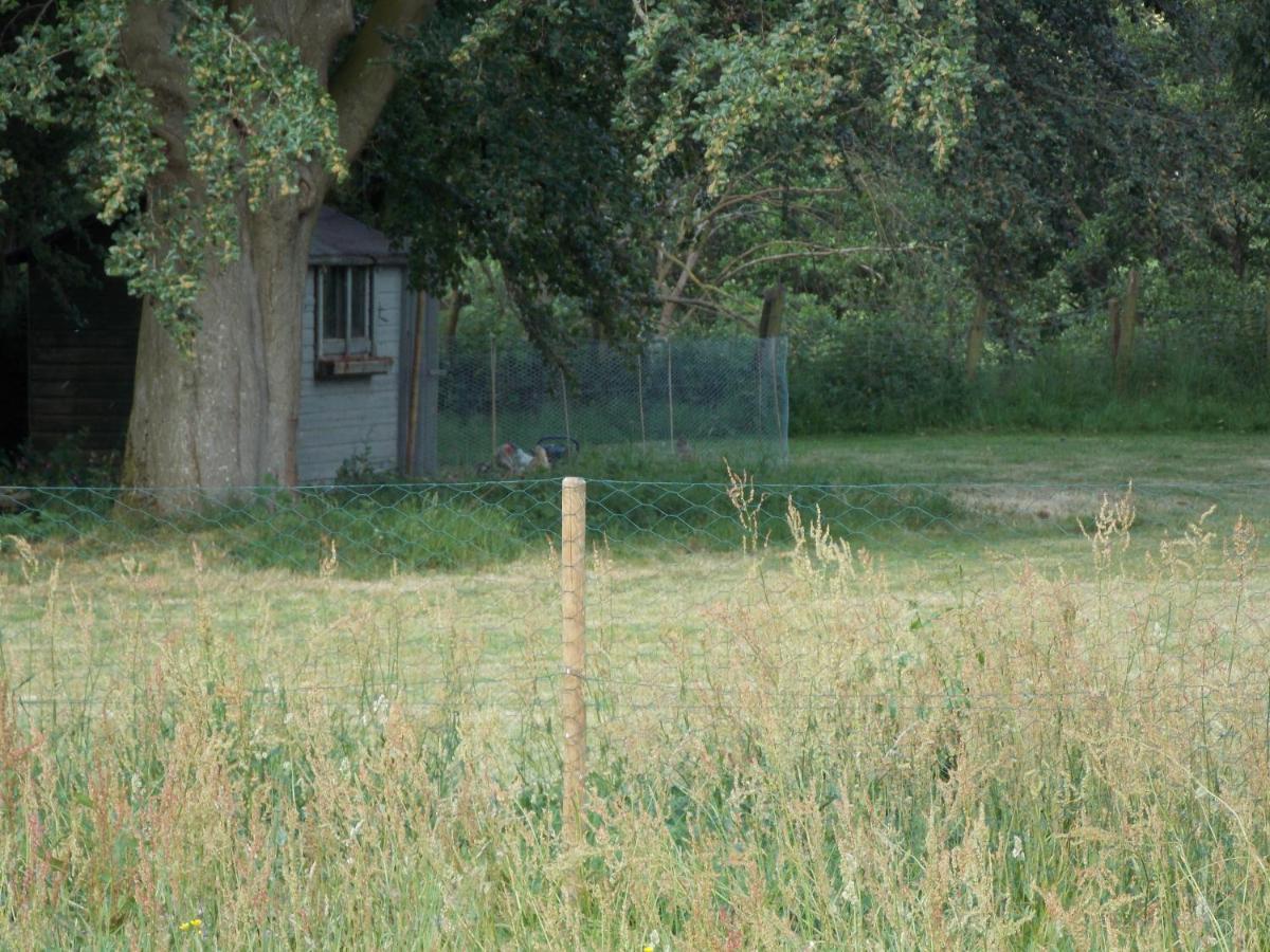 Hope Cottage Bell Tent Retreat Ashbourne  Eksteriør bilde
